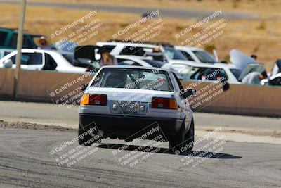 media/Feb-22-2025-Team Topak Racing (Sat) [[cb57a51a40]]/86 Party Brigade/Turns 13 and 14/